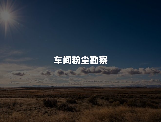 服务优势